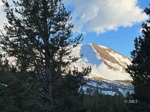 Tamarack Ln, Virginia Lakes, CA 93517