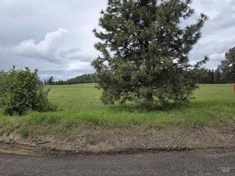 Tbd Canyon Creek Road, Orofino, ID 83544