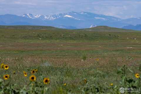 346 TBD County Road Carr, Carr, CO 80612