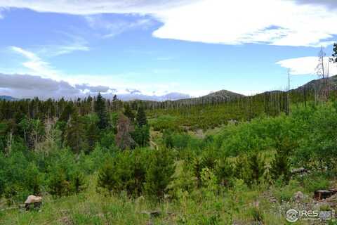 1256 Basking Dog Rd, Bellvue, CO 80512