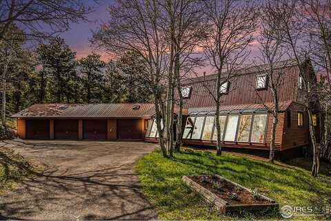 133 Rockledge Cir, Allenspark, CO 80540