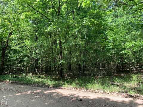 10 Acres County Road 331, Bono, AR 72416