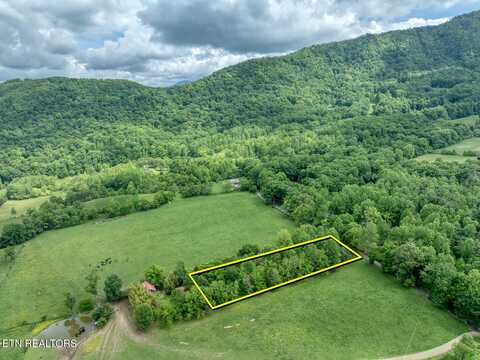 1153 Schoolhouse Gap Rd, Townsend, TN 37882