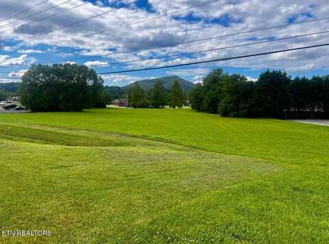 8017 E Lamar Alexander Pkwy, Townsend, TN 37882