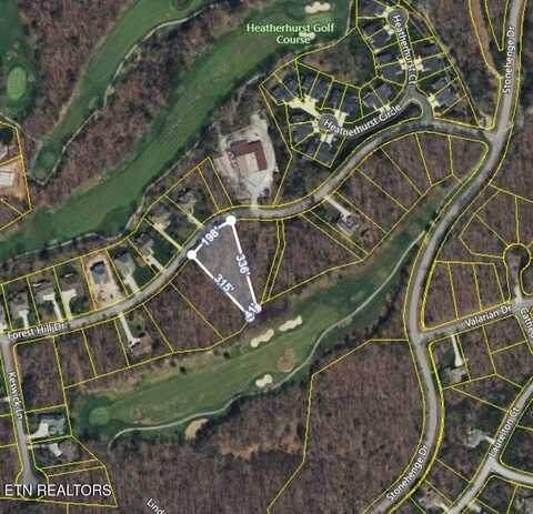 Forest Hill Drive, Fairfield Glade, TN 38558