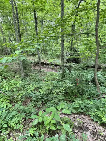 Prettiest Sunset Lot #3 Way, Seymour, TN 37865
