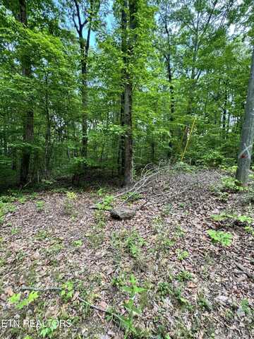Prettiest Sunset Lot #4 Way, Seymour, TN 37865