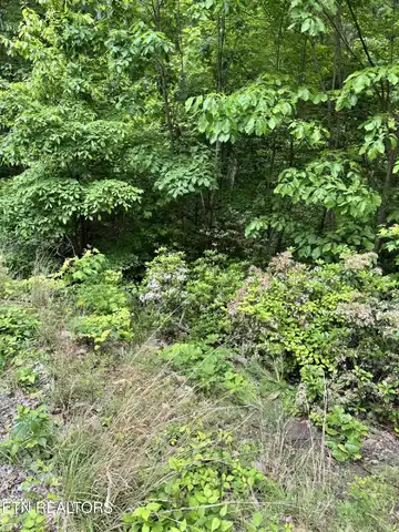 Goose Creek Lot #2 Rd, Seymour, TN 37865