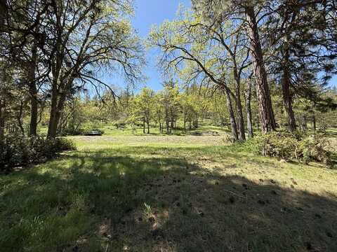 Coopers Hawk Road, Klamath Falls, OR 97601
