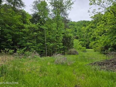 Tbd Boatmans Mountain LOT 3, Morristown, TN 37814