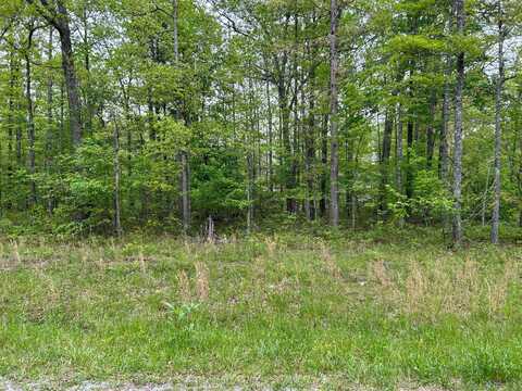 107 Calusa Lane, Crossville, TN 38572