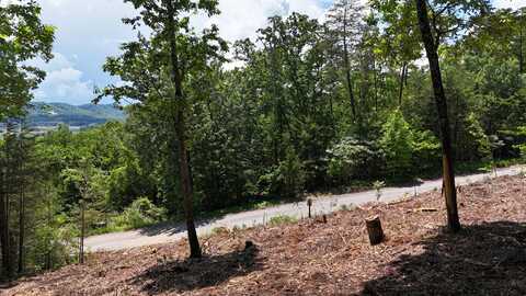 Lot 42 Bayside Boulevard, Bean Station, TN 37708