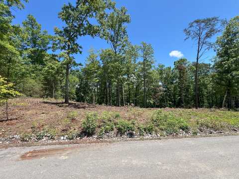 Lot 44 Bayside Boulevard, Bean Station, TN 37708