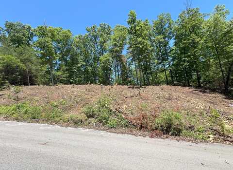 Lot 45 Bayside Boulevard, Bean Station, TN 37708