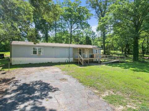 787 County Road 2201, Daingerfield, TX 75638