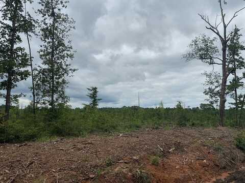 TBD FM 777, Jasper, TX 75951