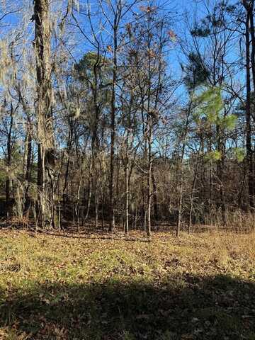 28411 County Road 374, Broaddus, TX 75929