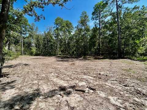 418 Twigwood Drive, Brookeland, TX 75931