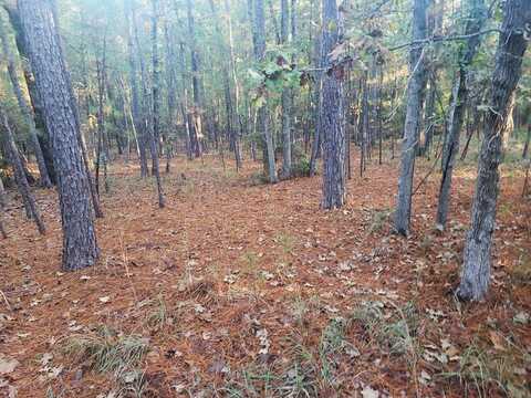131 Sunset Ridge, Brookeland, TX 75931