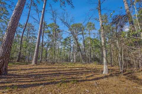 430 Deergrass Drive, Brookeland, TX 75931