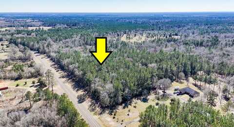 11209 County Road 509, Kirbyville, TX 75956