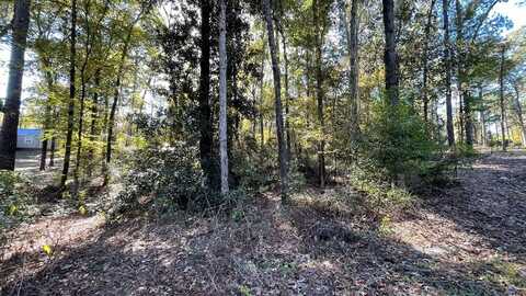110 Pinecone Lane, Hemphill, TX 75948