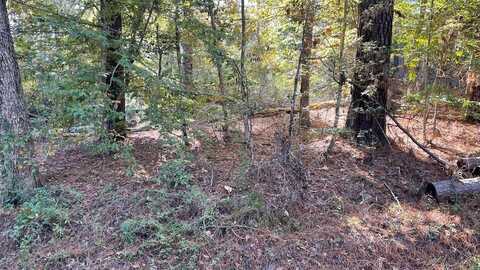 55-59.5 River Oaks Drive, Hemphill, TX 75948