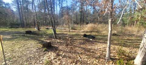 PID# 30679 Cindy Street, Brookeland, TX 75931