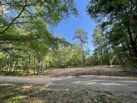 179 Woodsedge Drive, Brookeland, TX 75931