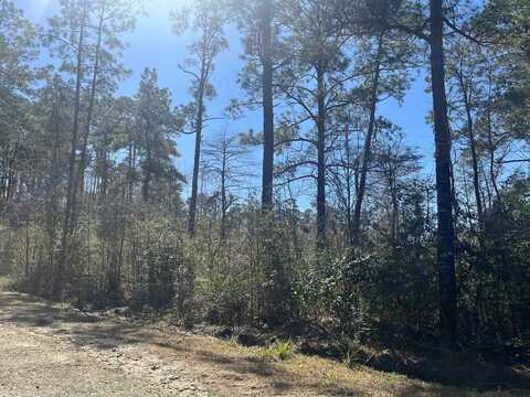 32729 Sweetbriar Court, Brookeland, TX 75931