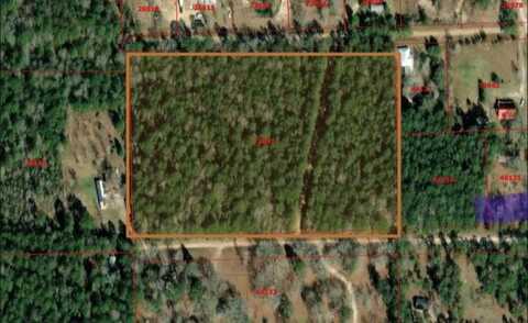 L73641 Blair Road, Corrigan, TX 75939