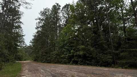 4546 Spruce Lane, Brookeland, TX 75931