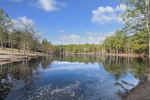 29480 Weaver Bend Road, Zavalla, TX 75980