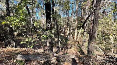 76-77 River Oaks Drive, Hemphill, TX 75948