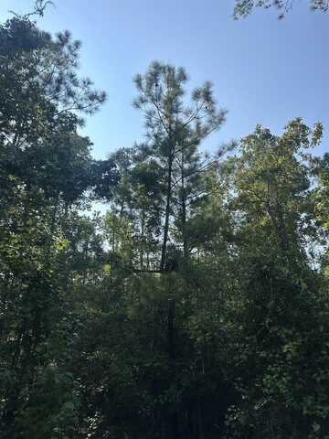 310 Tobacco Road, Brookeland, TX 75931