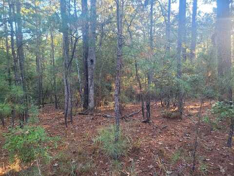 2 Crooked Branch Rd, Brookeland, TX 75931