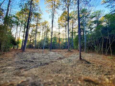 PID #34570 Sago Court, Brookeland, TX 75931