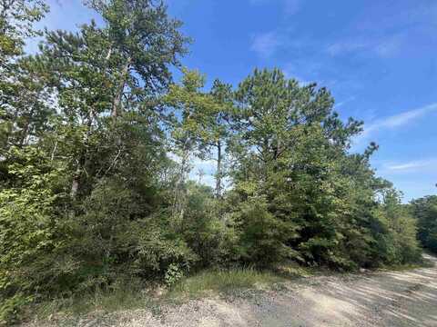 32589 Crenshaw, Brookeland, TX 75931