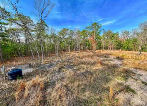 70-71 Shoreline Drive, Brookeland, TX 75931
