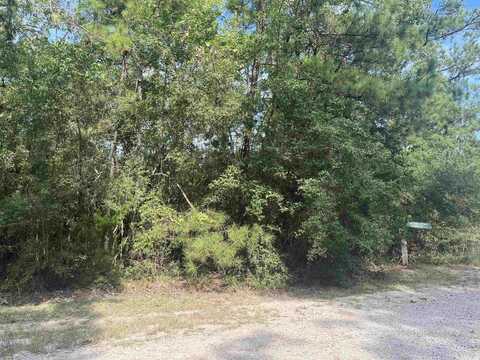 32591 Middlecoff, Brookeland, TX 75931