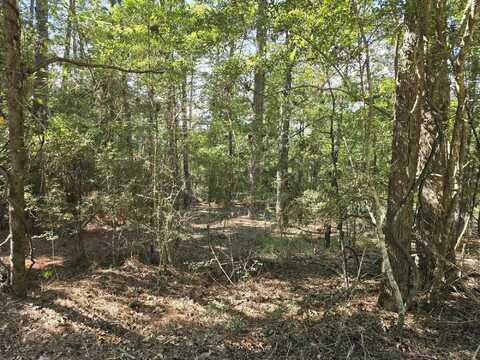 398 Twigwood Drive, Brookeland, TX 75931