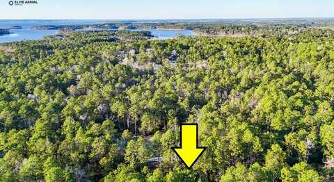 206 Tupelo Drive, Brookeland, TX 75931