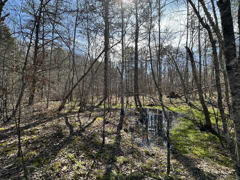 450 Ky Hwy 542, Jackson, KY 41339