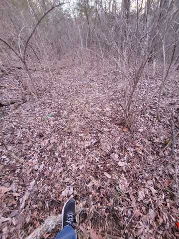 4-1 Lot 9,10, Corinth, KY 41010