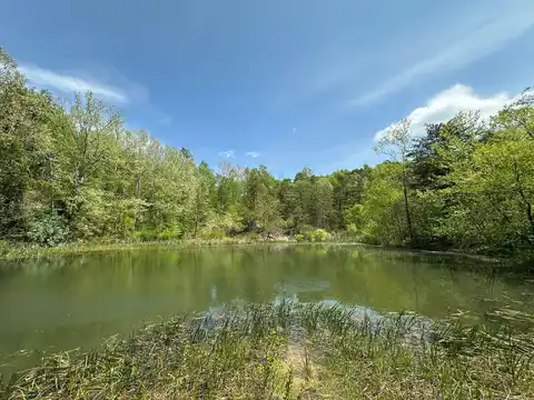 31 Clay Camp Road, Grayson, KY 41143