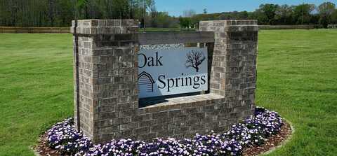 12 Oak Leaf Drive, Conway, AR 72032