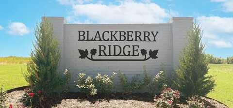 13405 Juneberry Drive, McLoud, OK 74851