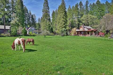 44335 Highway 62, Prospect, OR 97536