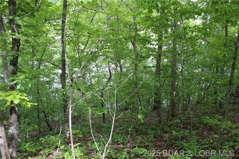 TBD Butler Road, Gravois Mills, MO 65037