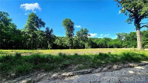 33606 Bass Point Road, Gravois Mills, MO 65037